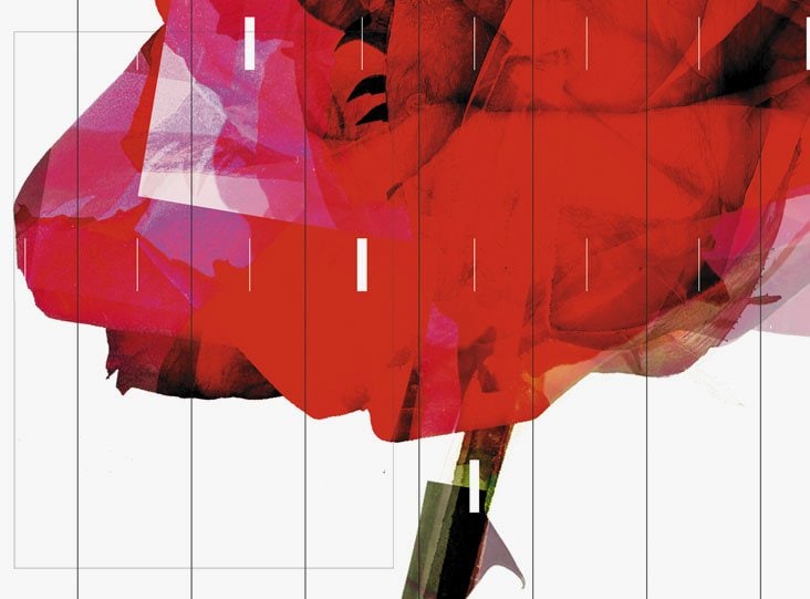 baseILLUSTRA2